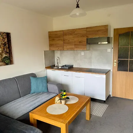 Nezabudka 206, * タトランスカー・シュトゥルバ