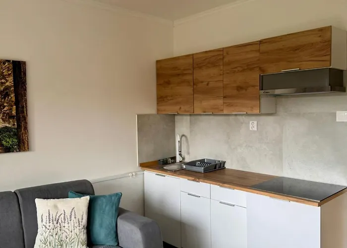 アパート Nezabudka 206, タトランスカー・シュトゥルバ